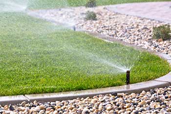 Affordable Lawn Care Services Keep A Healthy And Beautiful Yard