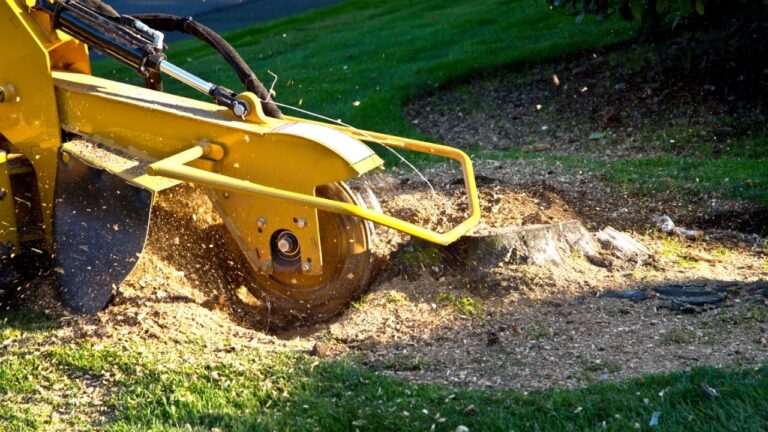 6-tree-removal-equipment-that-pros-use-to-make-the-job-safe