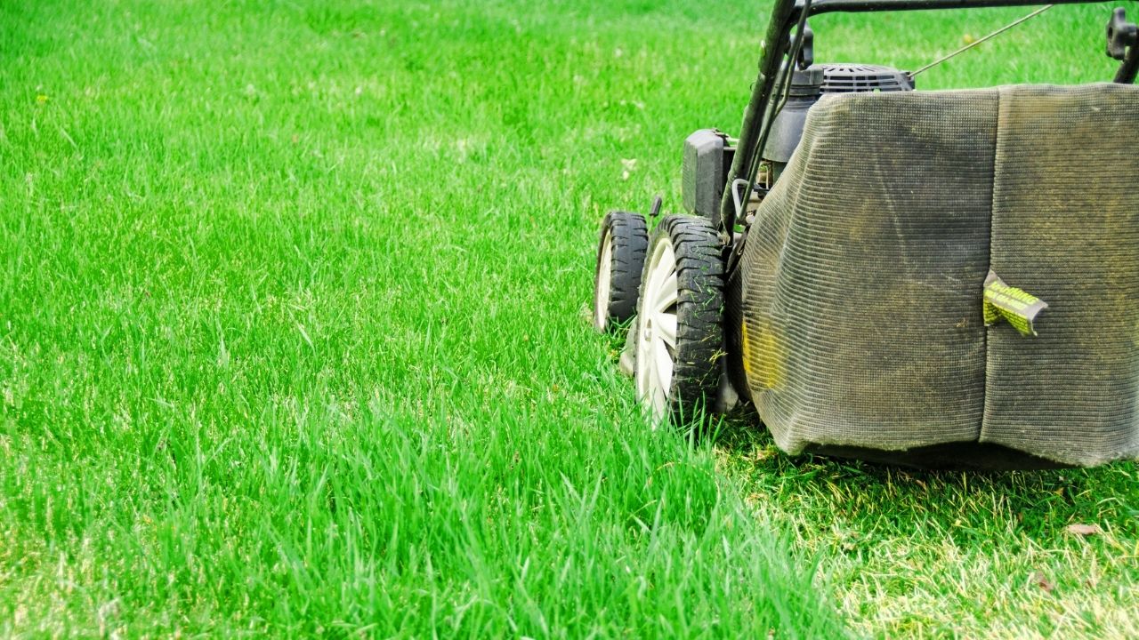 Spring Lawn Care Tips for a Healthy Grass Year-Round!